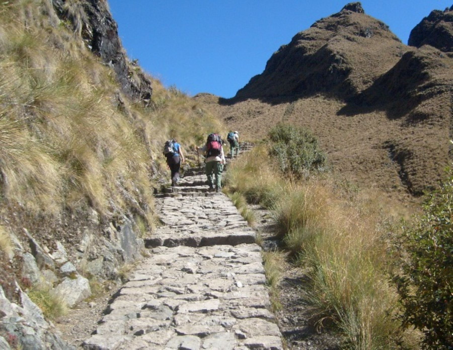 Inca Trail in Machu Picchu. Photo:ANDINA/Sernanp