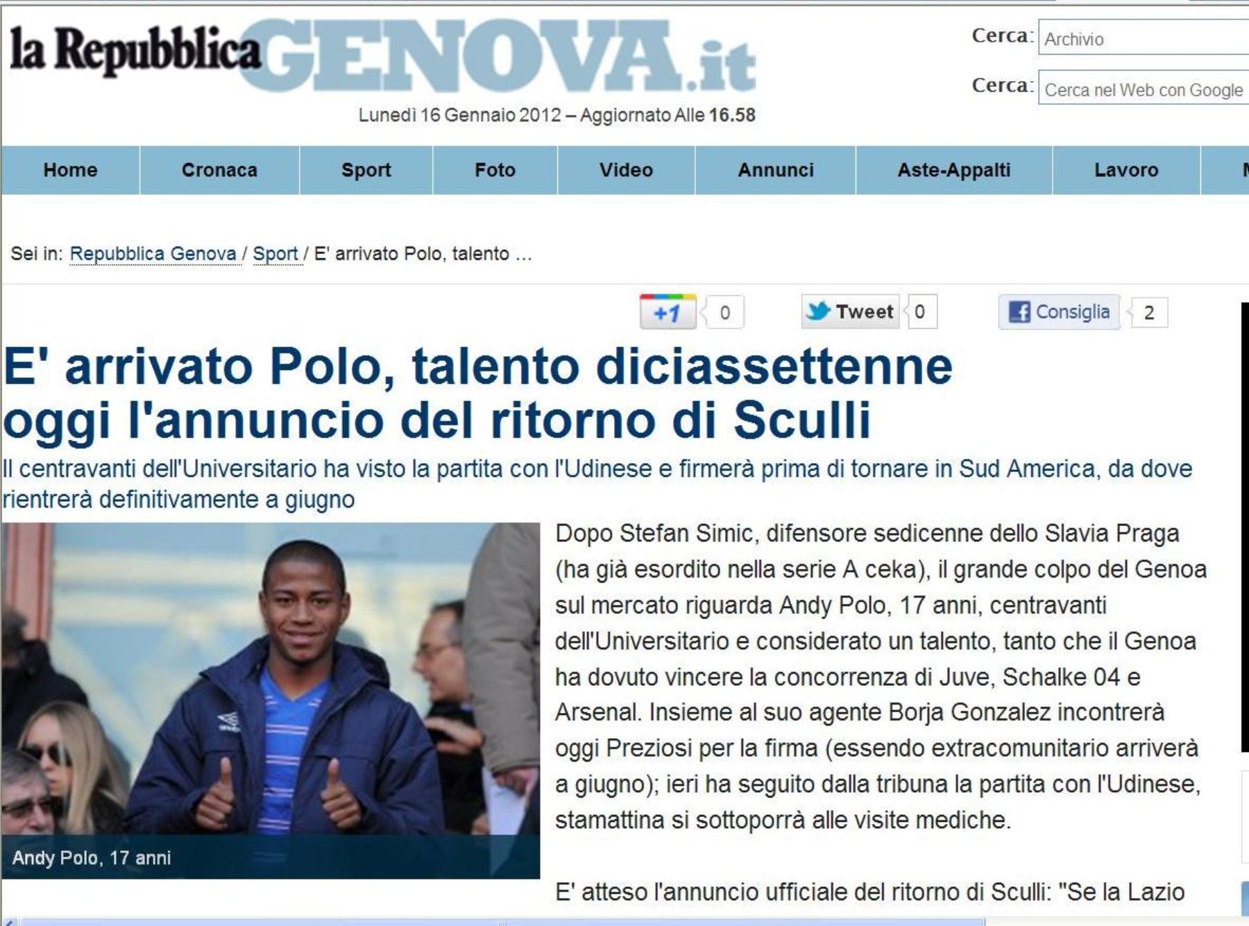 Andy Polo | Blue Toile