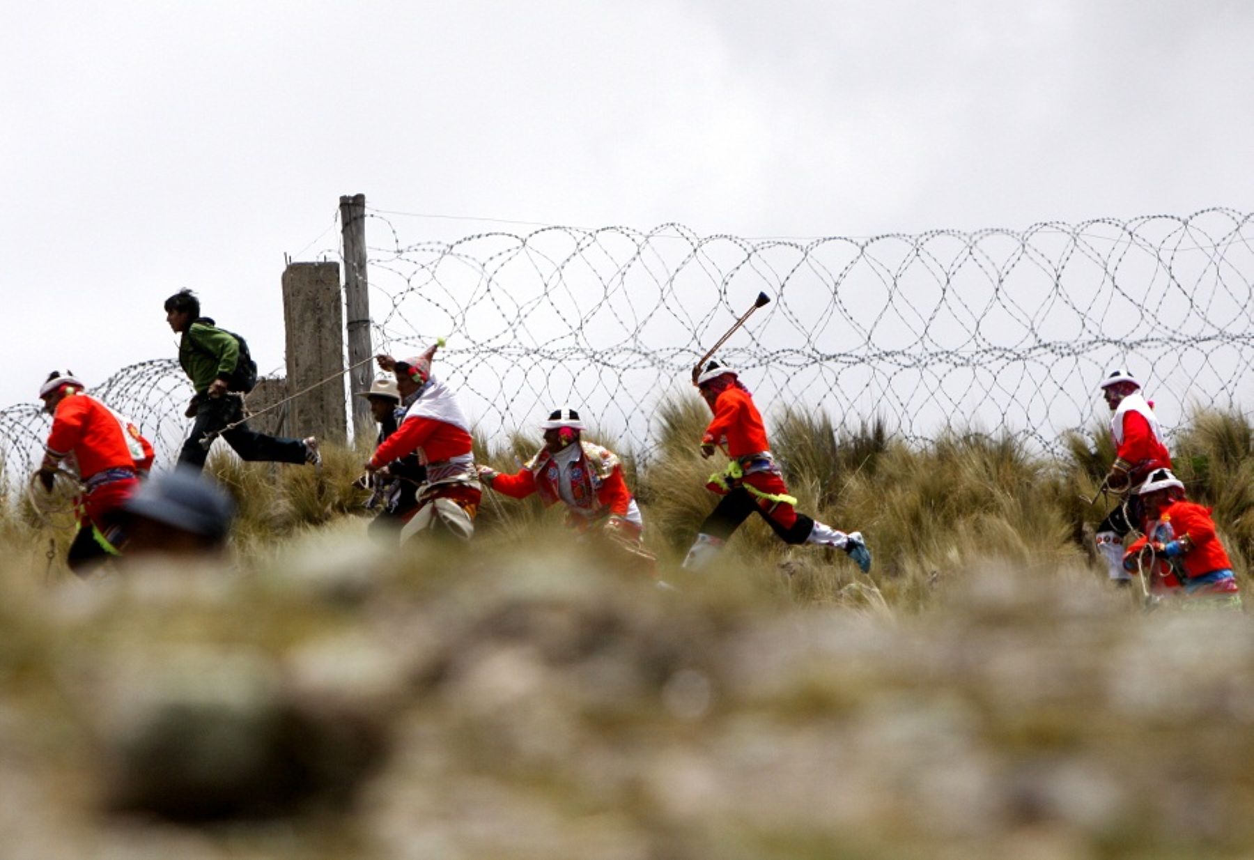 Chiriaje en Canas, Cusco. Foto: ANDINA/Percy Hurtado.