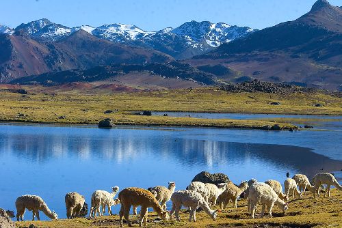 Paisaje andino peruano. ANDINA/archivo