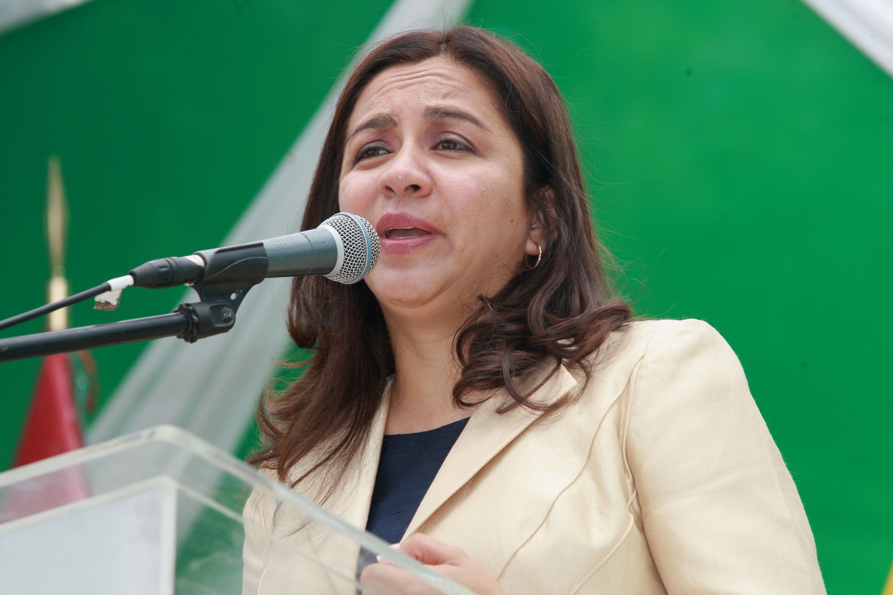 Congresista Marisol Espnoza. Foto: ANDINA/Archivo