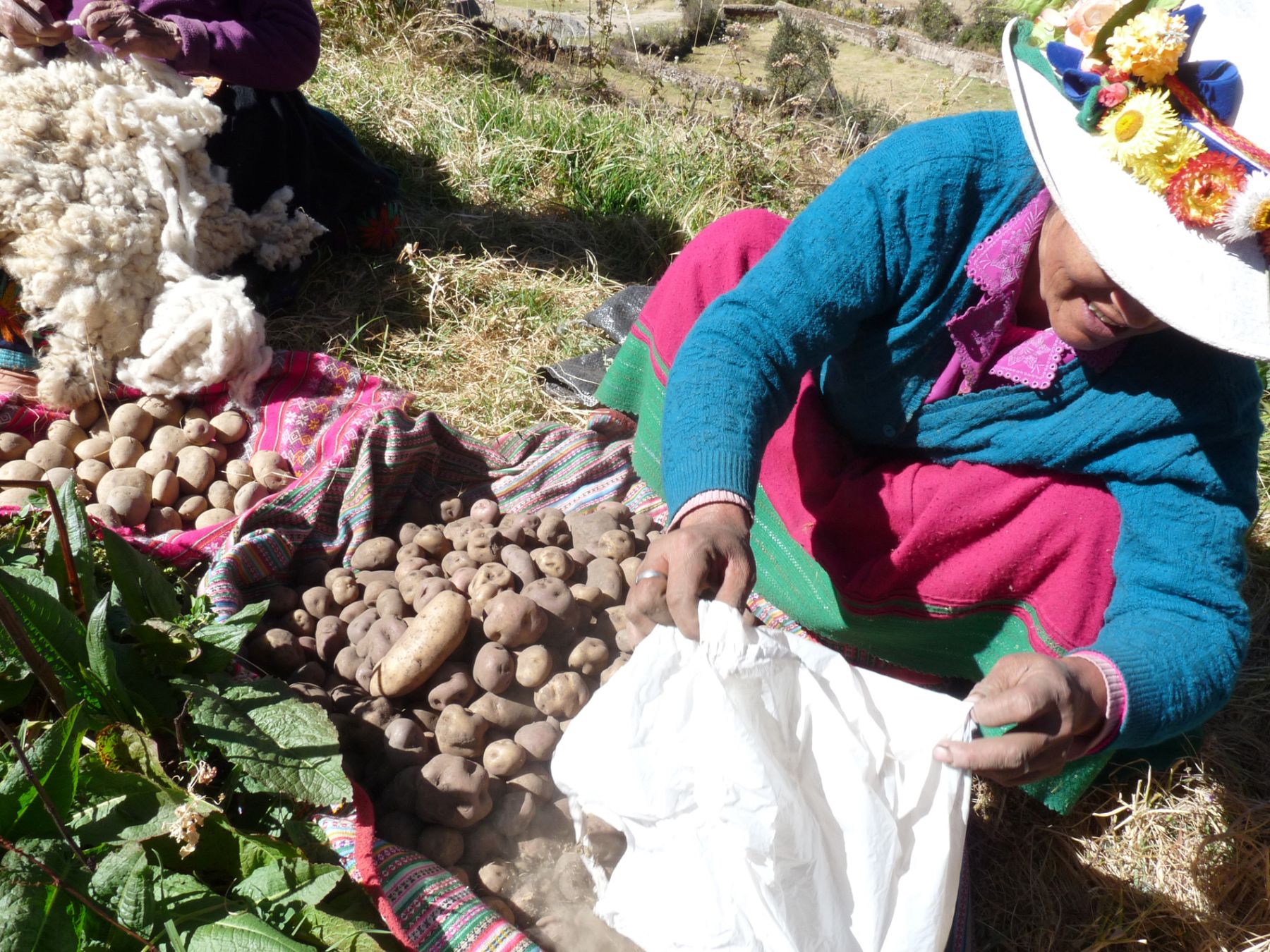 Buscan comercializar papas del Centro Poblado de Roca.Foto: ANDINA/Alejandro Reátegui