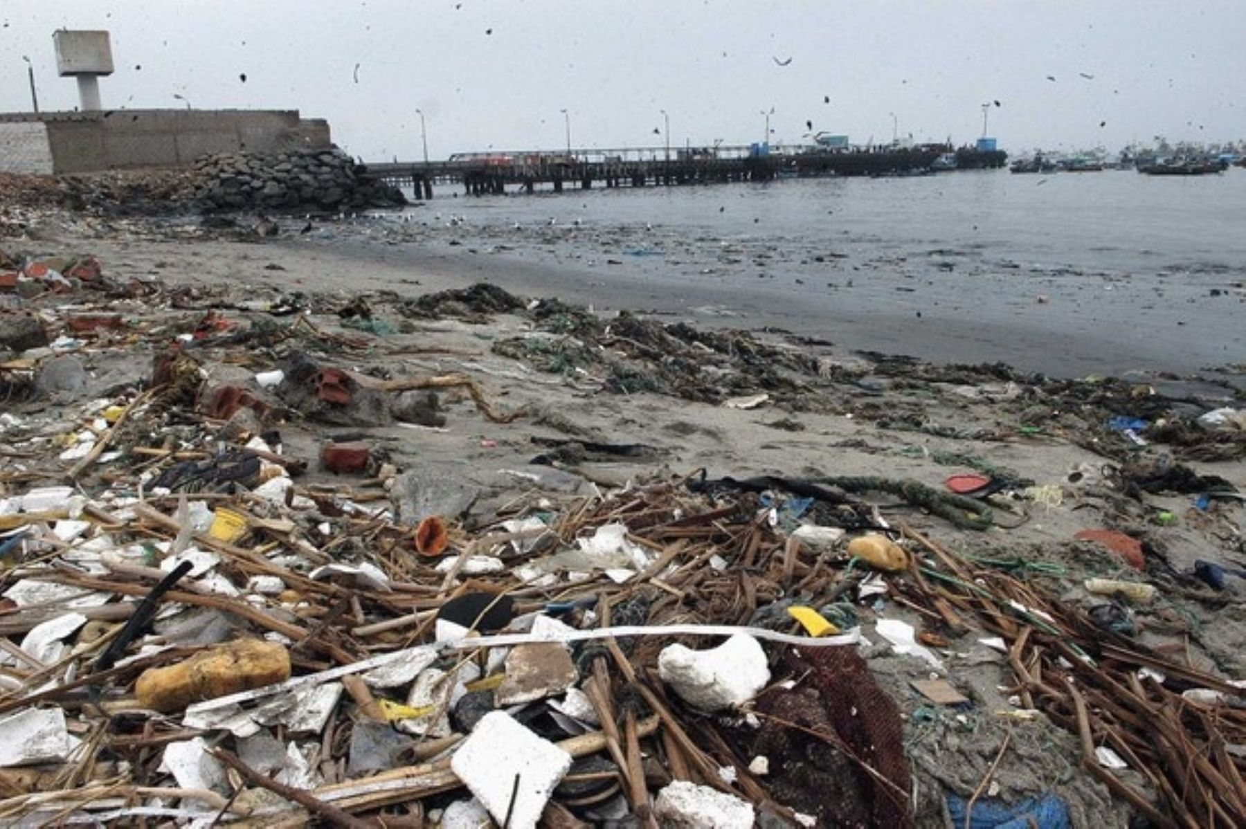 Contaminación ambiental afecta la bahía El Ferrol, en Chimbote. Foto: ANDINA/Difusión.
