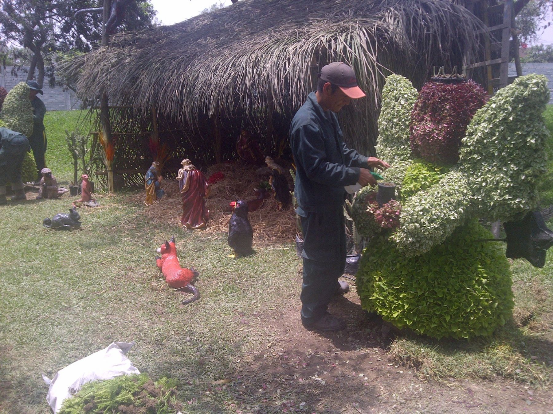 Servicio de Parques de Lima presenta singular nacimiento hecho con plantas. Foto: Difusión.