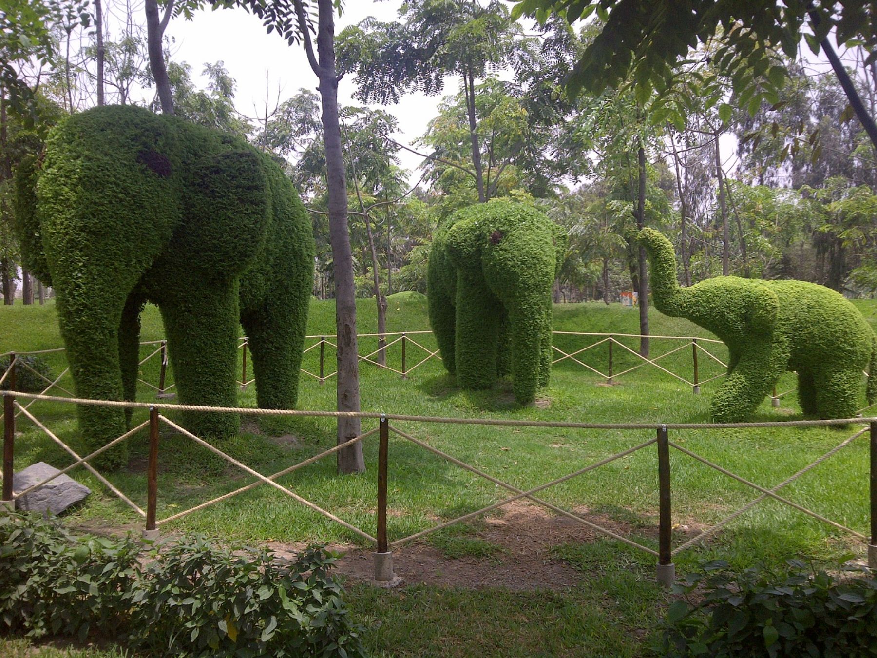 Servicio de Parques de Lima presenta singular nacimiento hecho con plantas. Foto: Difusión.