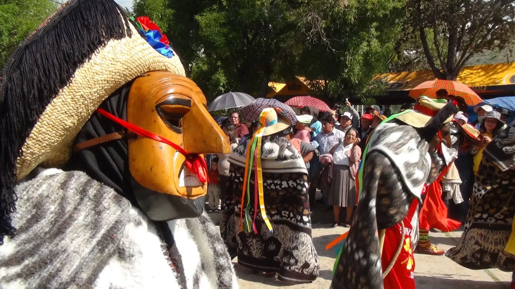 Danza de la Huaconada.