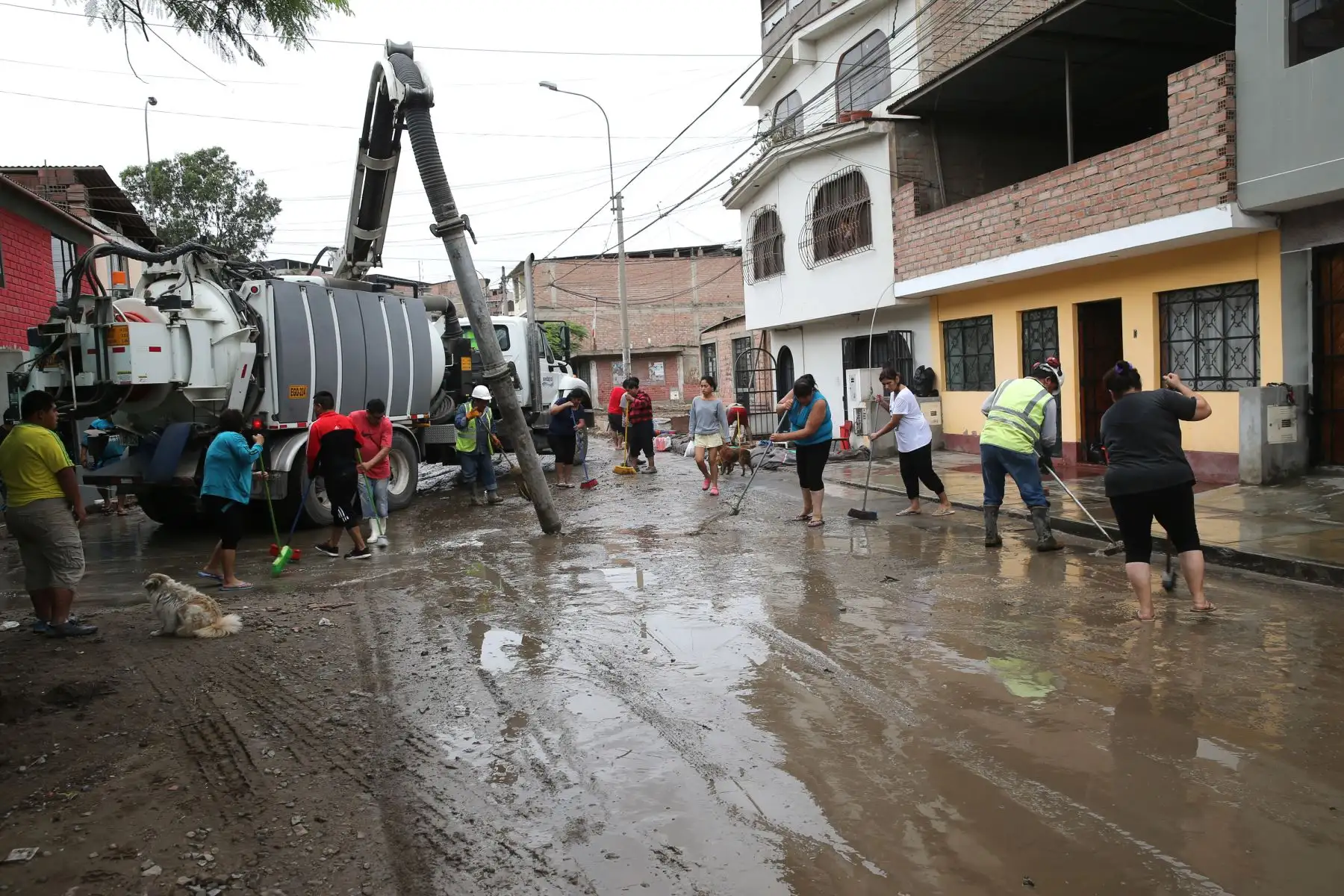 Foto: ANDINA/Norman Córdova.