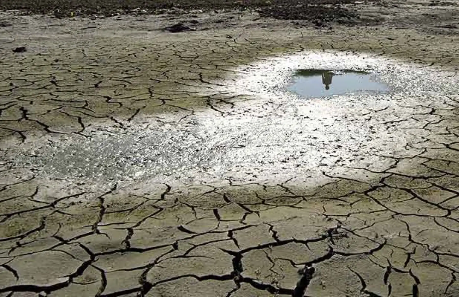 El Perú marca un nuevo hito histórico en la acción climática al presentar su Hoja de Ruta para hacer frente al cambio climático con 153 acciones de adaptación y mitigación, llamadas también Contribuciones Nacionales Determinadas. ANDINA/Difusión