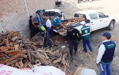 Autoridades incautaron más de 25 toneladas de carbón de algarrobo de procedencia ilegal en Sullana. ANDINA