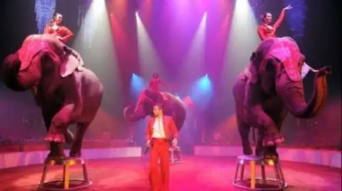 Circo  con animales Foto: AFP