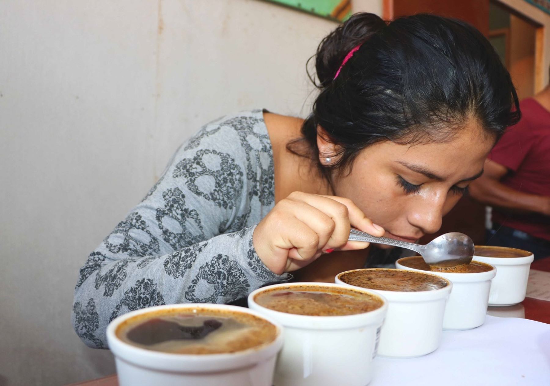 Capacitación para socios de organizaciones de productores cafetaleros de Mazamari, Pangoa y Río Tambo, en temas de transformación tecnológica del café, culminó con éxito en la ciudad de Satipo gracias al Programa de Desarrollo Alternativo en Satipo.