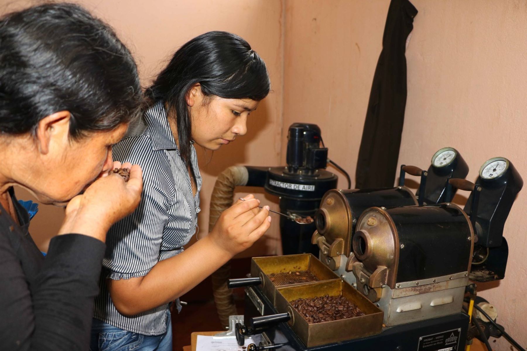 Capacitación para socios de organizaciones de productores cafetaleros de Mazamari, Pangoa y Río Tambo, en temas de transformación tecnológica del café, culminó con éxito en la ciudad de Satipo gracias al Programa de Desarrollo Alternativo en Satipo.