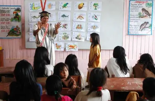Un total de 1,200 acompañantes pedagógicos brindan asistencia este año a 9,457 docentes de escuelas interculturales bilingües, informó Elena Burga Cabrera, directora general de Educación Básica Alternativa, Intercultural Bilingüe y de Servicios Educativos en el Ámbito Rural del Ministerio de Educación (Minedu). ANDINA/Difusión