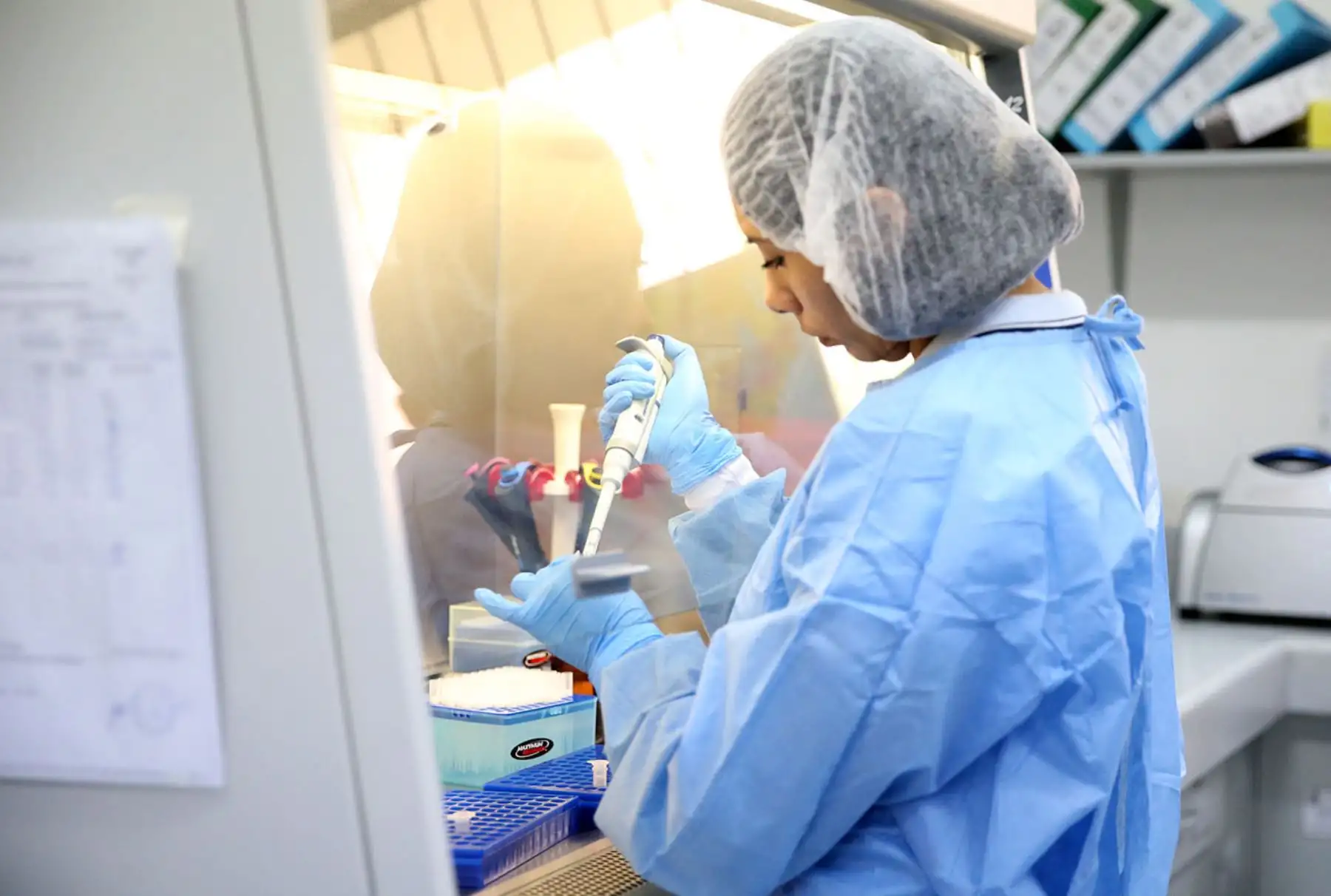 Instituciones públicas y privadas serán reconocidas por sus buenas prácticas de control contra el zika. Foto: ANDINA/Difusión.