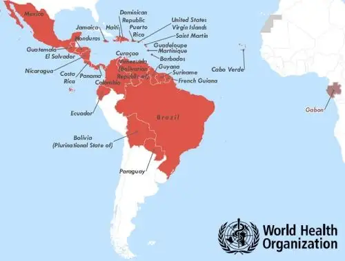 Según mapa de la OMS el Perú es un país libre de la presencia autóctona del virus del Zika.