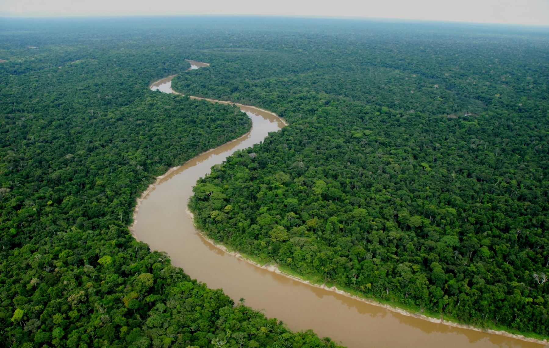 La Zona de Reserva Yaguas, en Loreto, aspira a convertirse en Parque Nacional. ANDINA/Difusión