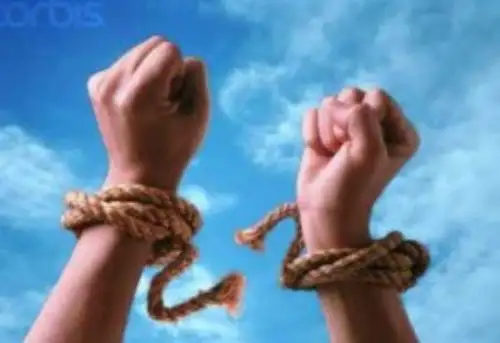 Resiliencia, capacidad para superar la adversidad. Foto: Internet