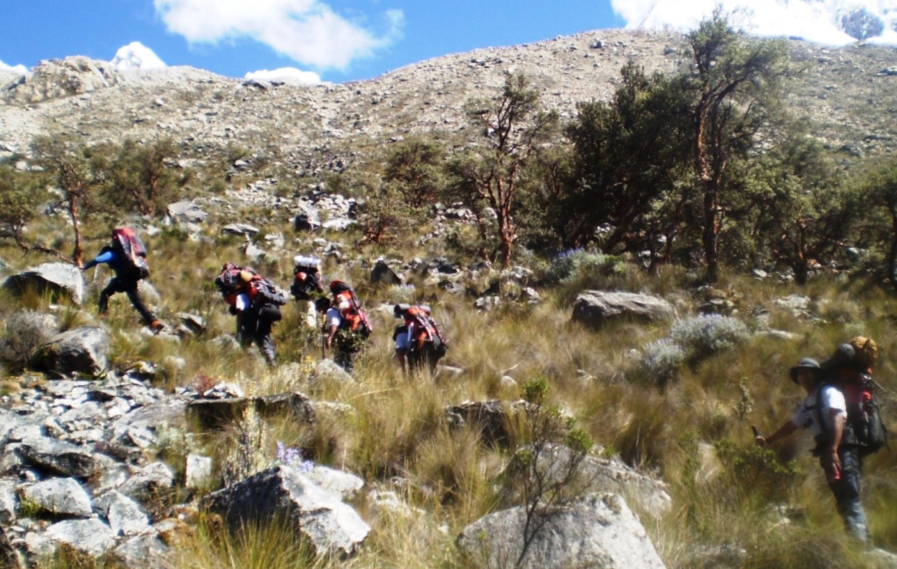 Personal de la Unidad de Salvamento de Alta Montaña (USAM) rescató a cuatro trabajadores perdidos en el valle del Colca, Arequipa. ANDINA/archivo