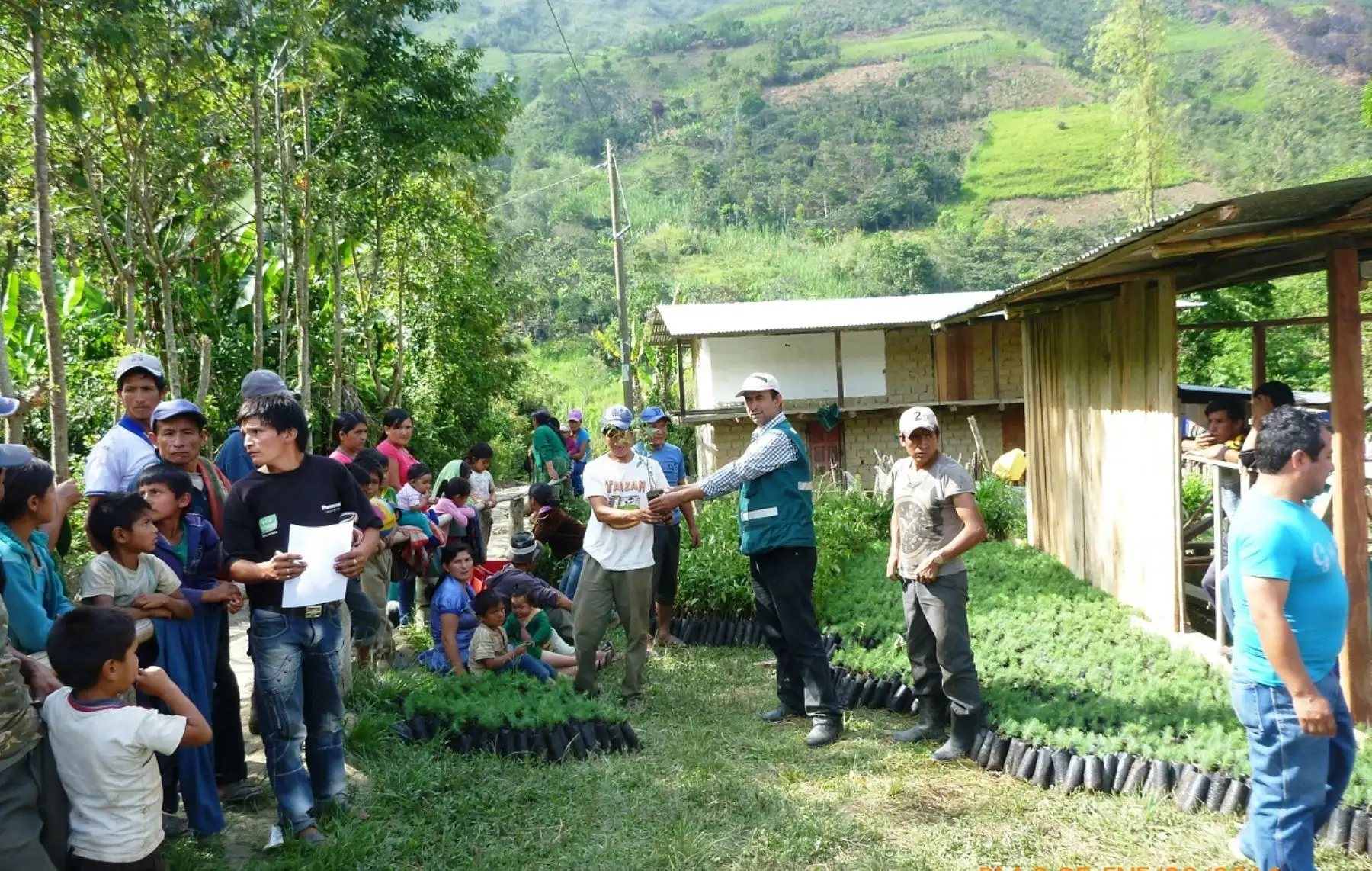Huancabamba, en Piura, es un lugar ideal para la siembre de berries. ANDINA/archivo