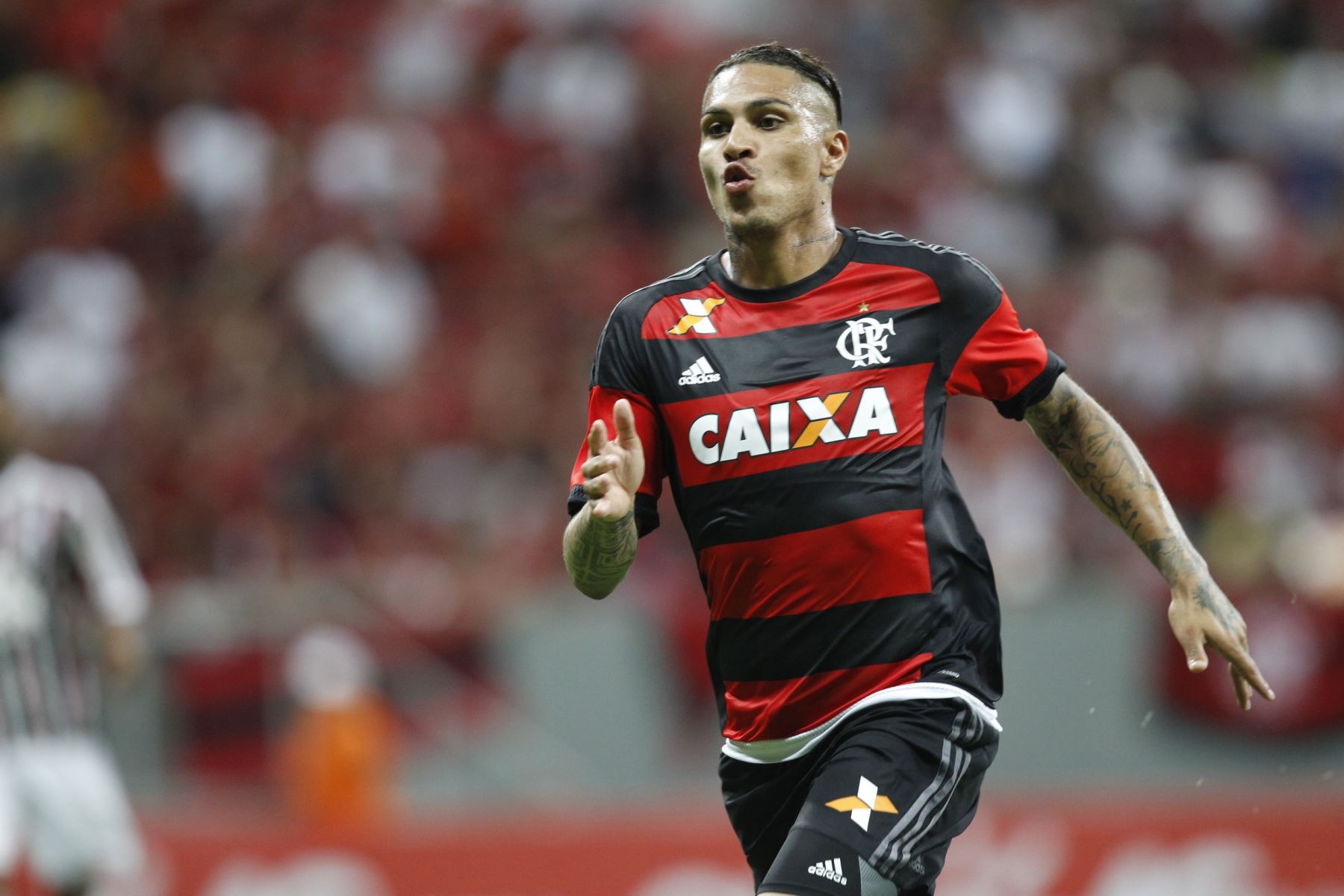 Paolo Guerrero suma cinco goles con Flamengo en lo que va la temporada 2016. Foto: INTERNET/Medios.