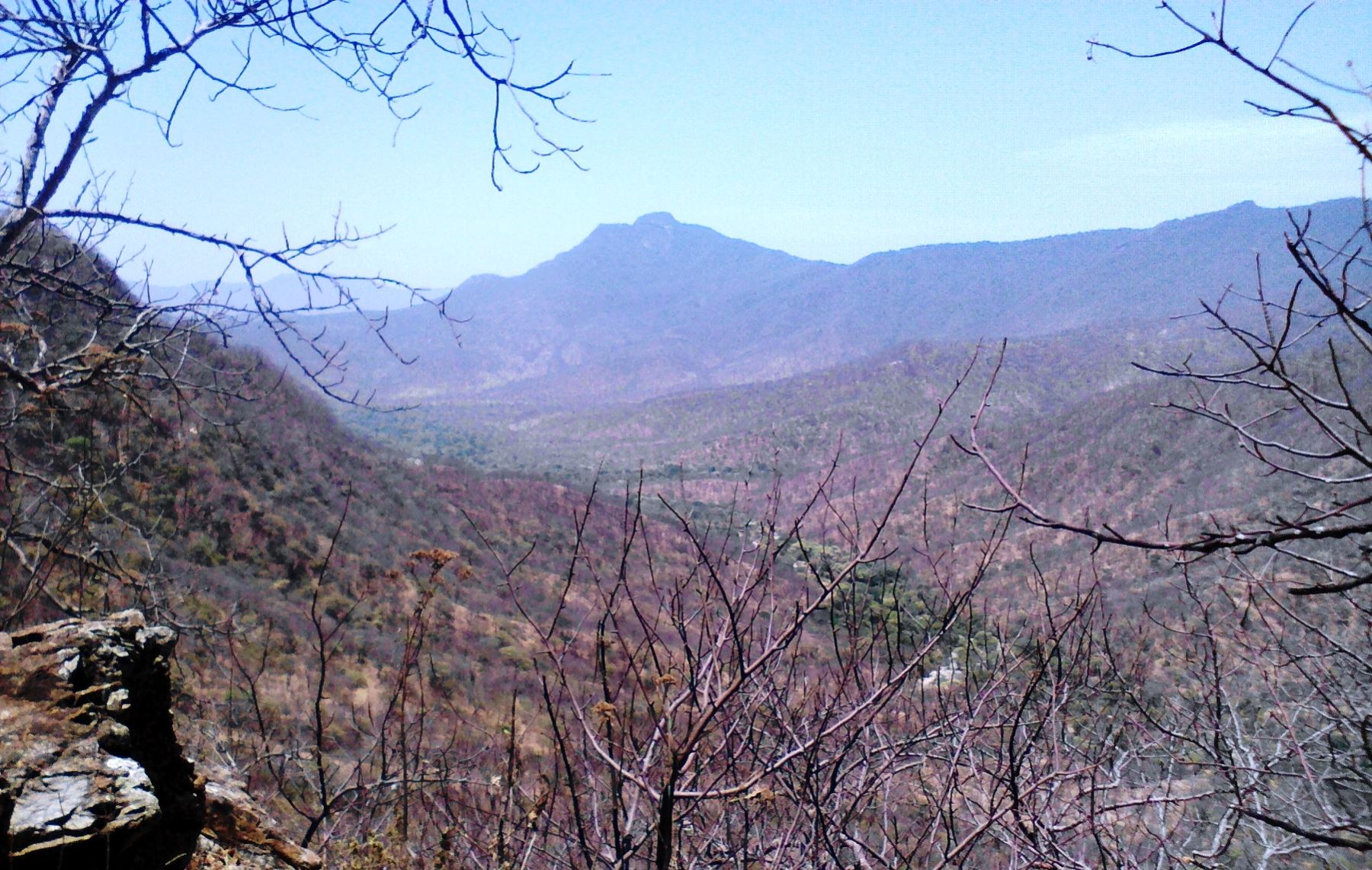 Minam reconoció a perpetuidad área de conservación privada Mangamanguilla, ubicada en la región Piura.
