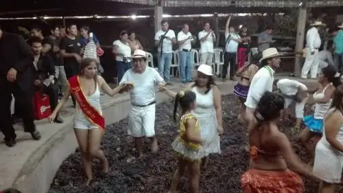 "La Ruta de los lagares" consiste en mostrar a los turistas los lagares, que son espacios diseñados como pozas para la tradicional "pisa de la uva" o molienda artesanal durante el proceso de elaboración de vinos, piscos y cachina, que convierten a Ica en uno de los principales centros de producción del Perú.