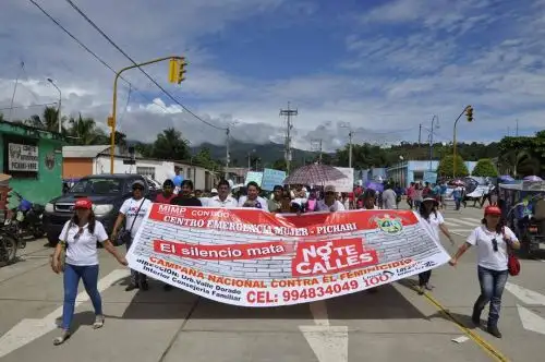 Con el objetivo de destacar el esfuerzo y la valentía de las mujeres para enfrentar la pobreza y el dolor que dejaron los años de violencia en la zona del Vraem, la comisión multisectorial por la lucha contra la violencia familiar y sexual en el distrito de Pichari, dirigida por el Centro Emergencia Mujer, celebró el Día Internacional de la Mujer con un pasacalle por las principales vías del distrito cusqueño.