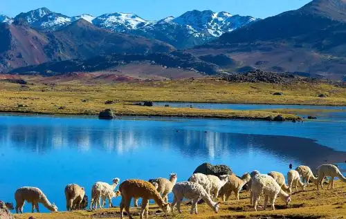 El Congreso aprobó proyecto para proteger la laguna Choclococha, que se ubica en la región Huancavelica. ANDINA/archivo