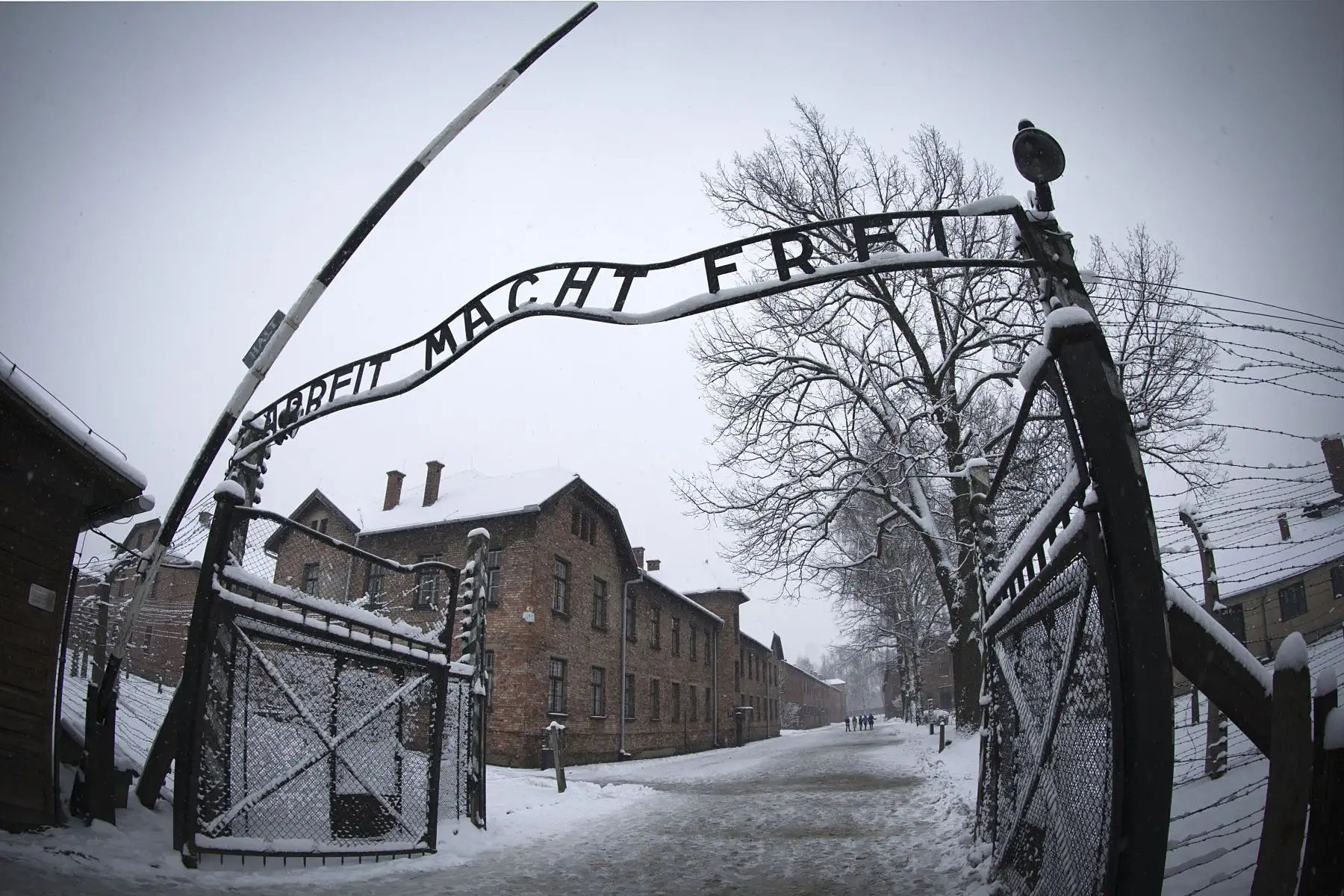 Muere un exguardia de Auschwitz una semana antes de su juicio. Foto: AFP