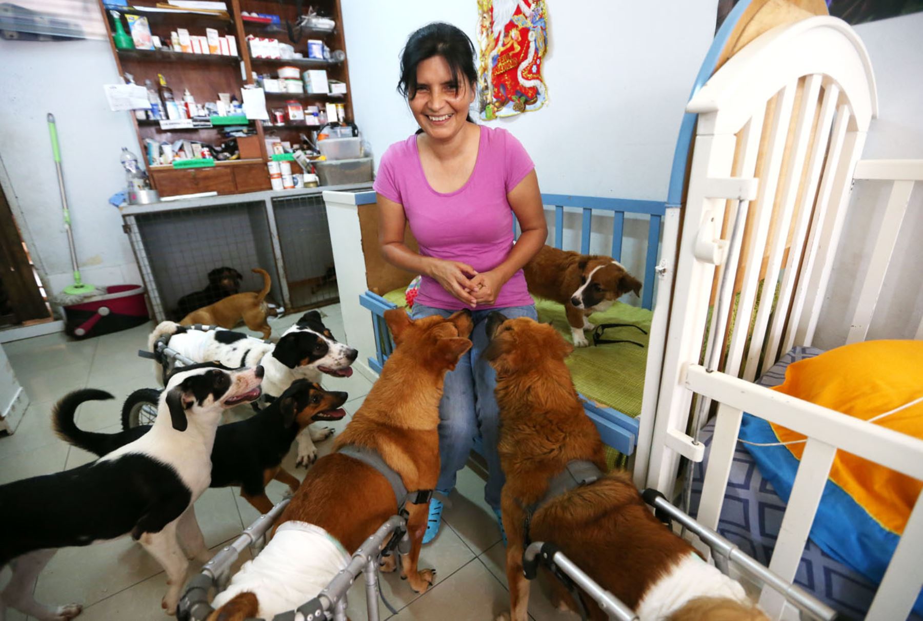Sara Morán alberga en "Milagros perrunos" a mascotas con discapacidad.