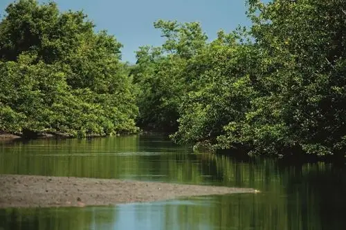 Perú y Ecuador vienen trabajando conjuntamente para el establecimiento de una reserva de biósfera binacional, la primera en Sudamérica, iniciativa impulsada por el Servicio Nacional de Áreas Naturales Protegidas por el Estado (Sernanp) y el Ministerio del Ambiente del vecino país.