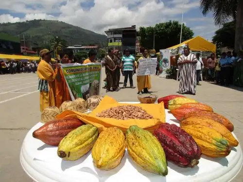 El programa Agroideas del Ministerio de Agricultura invierte más de S/ 116 millones para potenciar capacidades de 11,000 productores agrícolas. ANDINA/Difusión