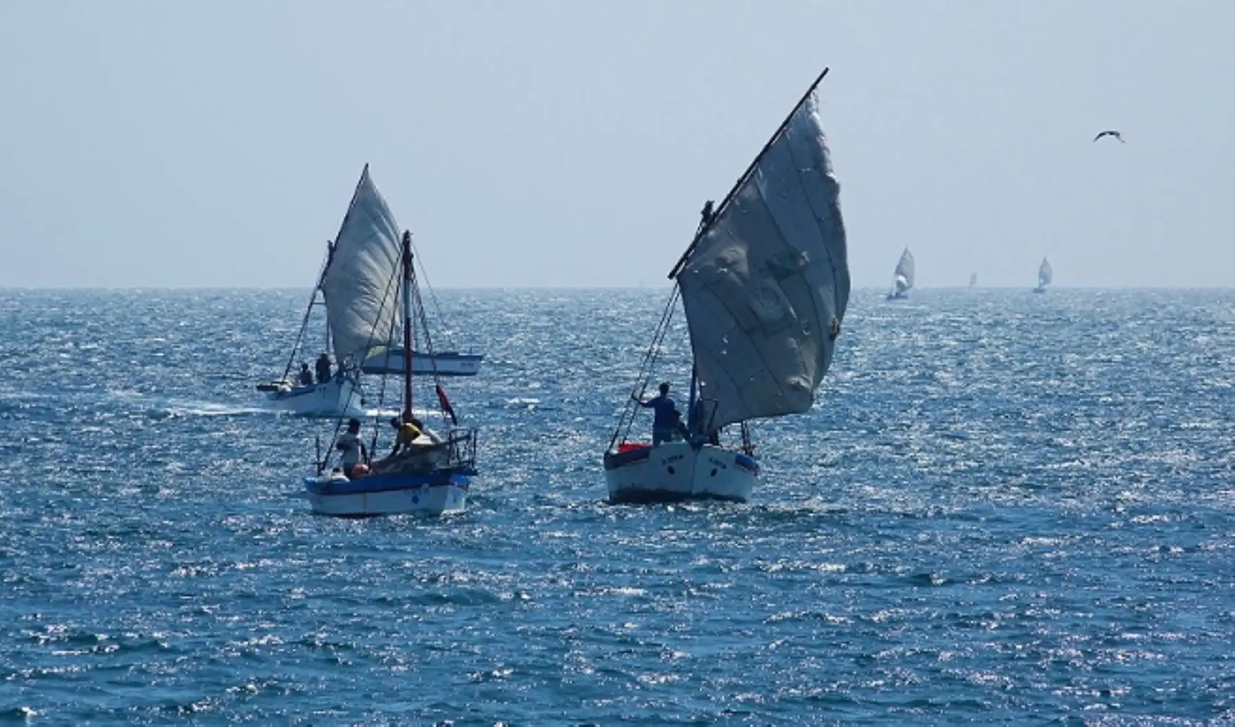 ANDINA/Difusión