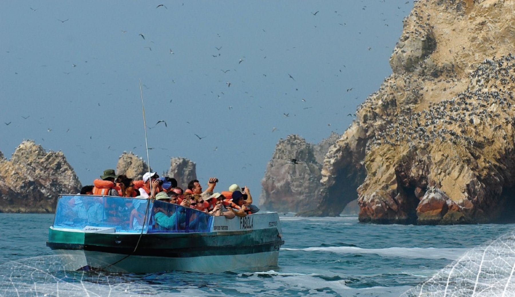 La Reserva Nacional de Paracas recibió más de 17,000 turistas, entre nacionales y extranjeros, durante el feriado largo por Semana Santa, informó hoy el jefe de esa área natural protegida Juan Carlos Heaton.