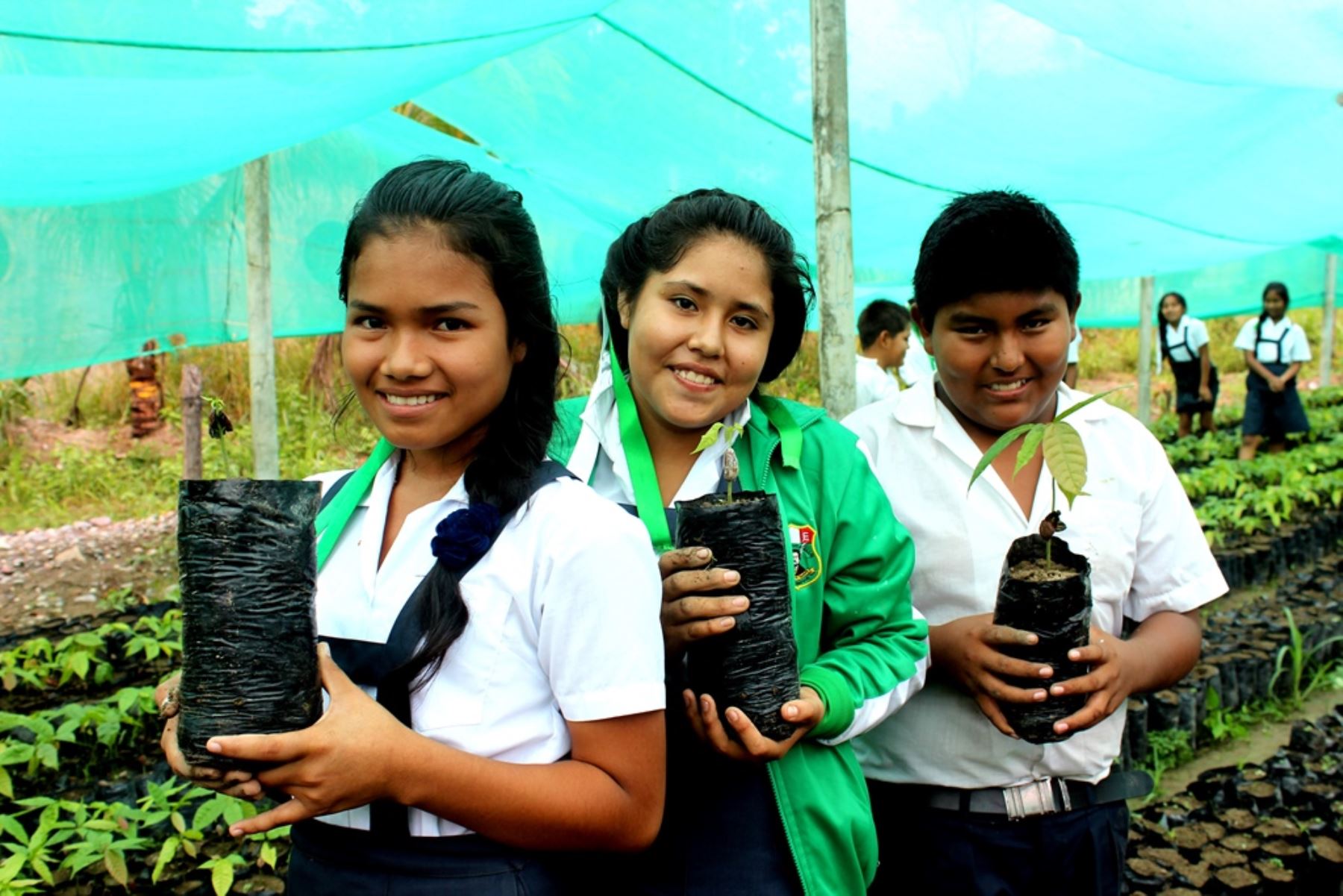 Puno: implementan proyectos de educación ambiental en colegios | Noticias |  Agencia Peruana de Noticias Andina