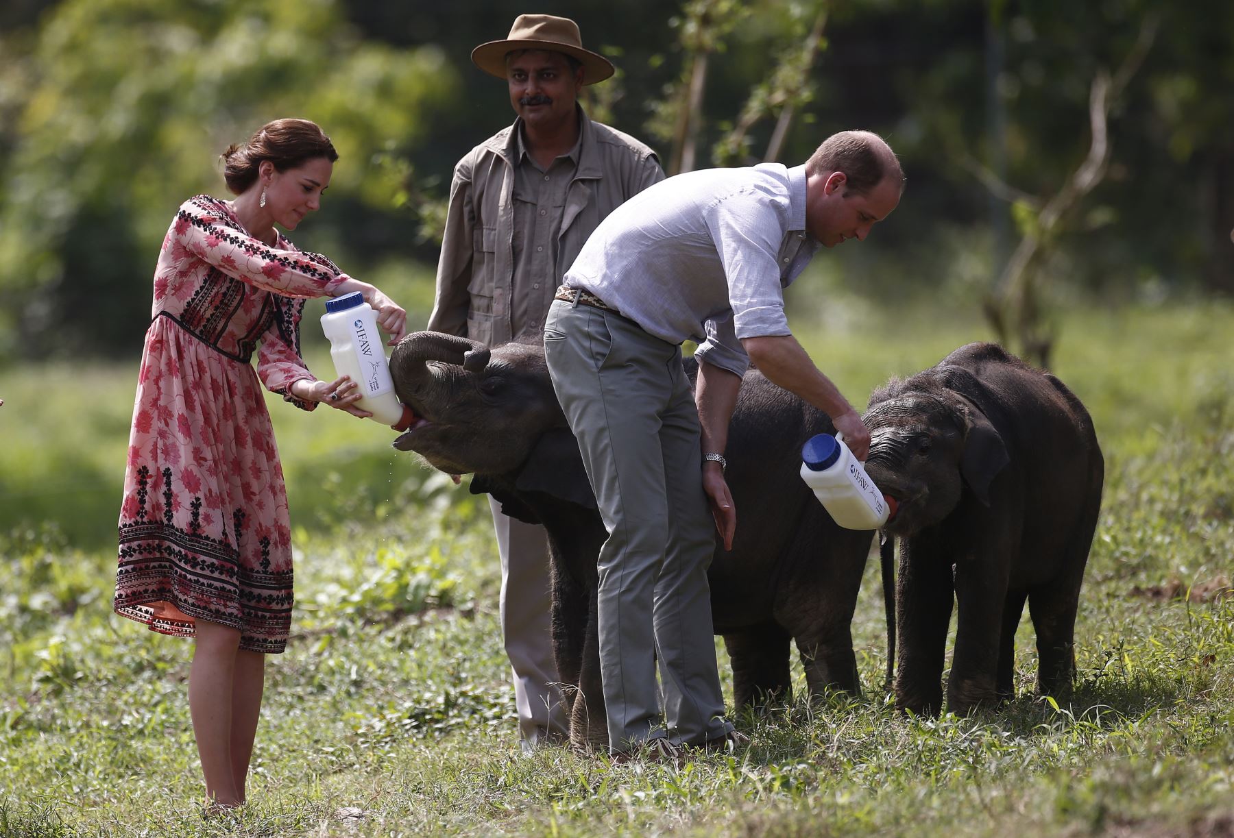 Guillermo y Catalina alimentan a rinocerontes y elefantes durante un safari en India. Foto: AFP