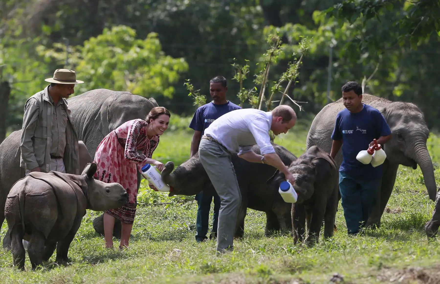Guillermo y Catalina alimentan a rinocerontes y elefantes durante un safari en India. Foto: AFP