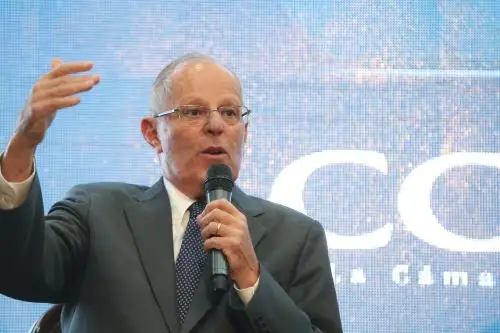 Foto: ANDINA/archivo.