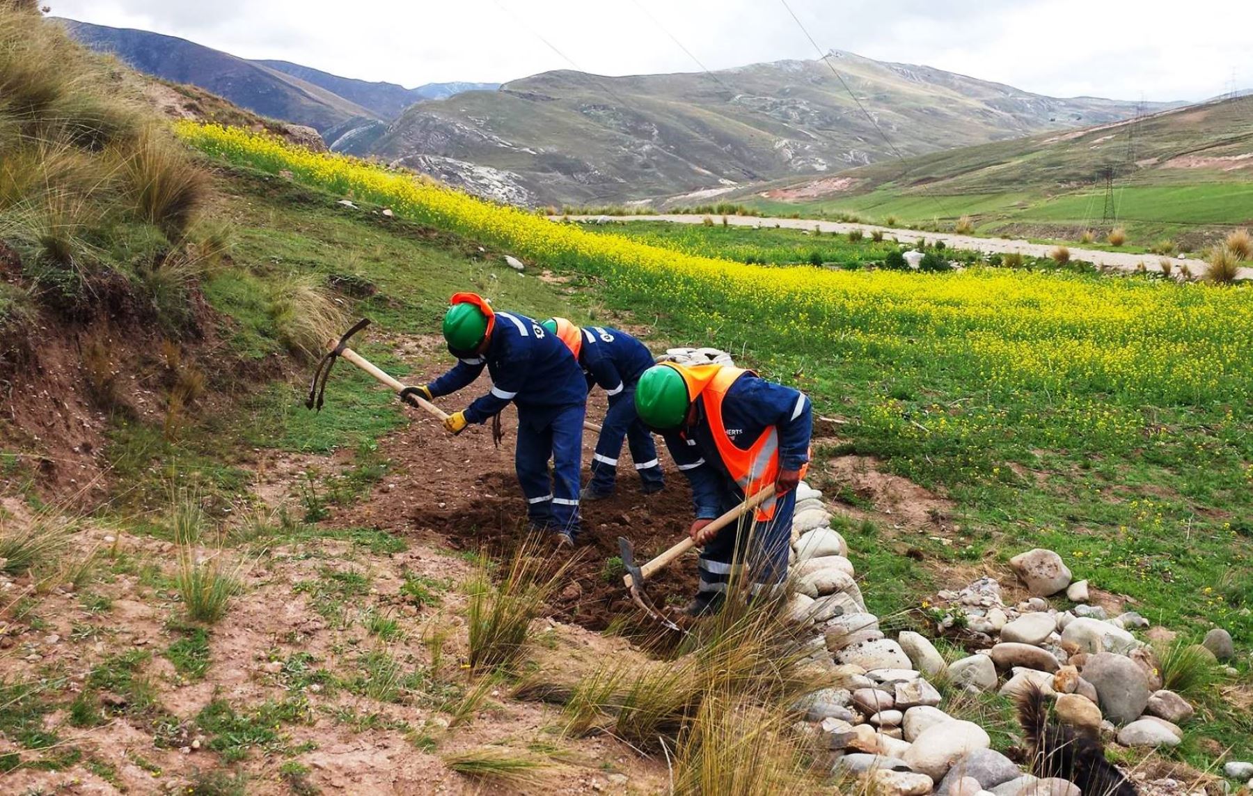 Ejecutan trabajos de mejoramiento y remediación de suelos en zonas rurales de La Oroya–Yauli, en Junín.