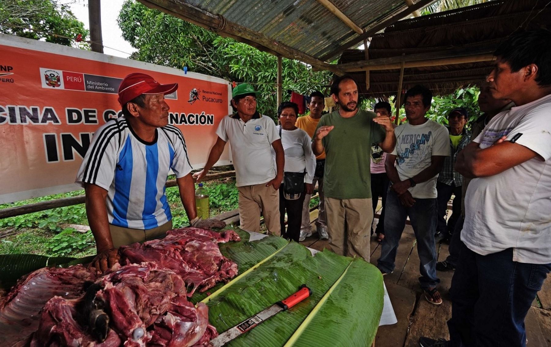 Con el objetivo de promover un modelo de aprovechamiento sostenible de la carne de monte por parte de las poblaciones locales, el Servicio Nacional de Áreas Naturales Protegidas por el Estado (Sernanp), en sinergia con el reconocido chef Pedro Miguel Schiaffino, lanzaron la iniciativa “Conservación, Cultura y Cocina Amazónica”.