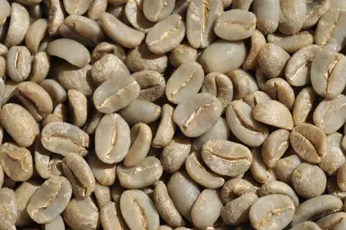 café verde peruano