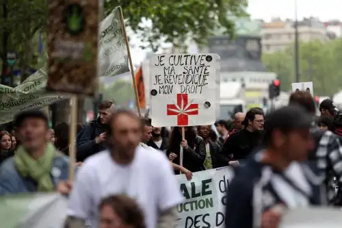 AFP