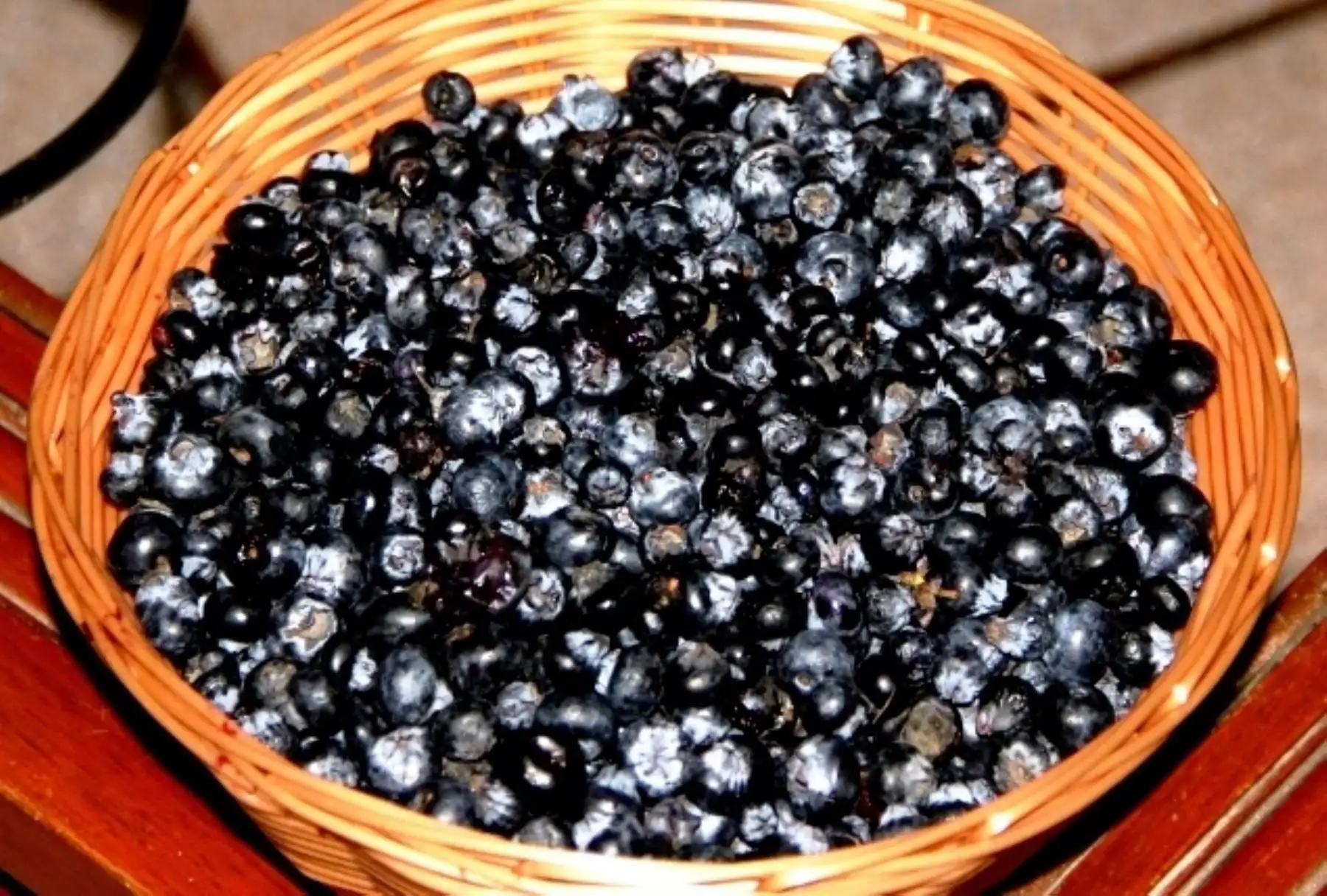Arándanos pueden cultivarse en zonas andinas de la región Piura.