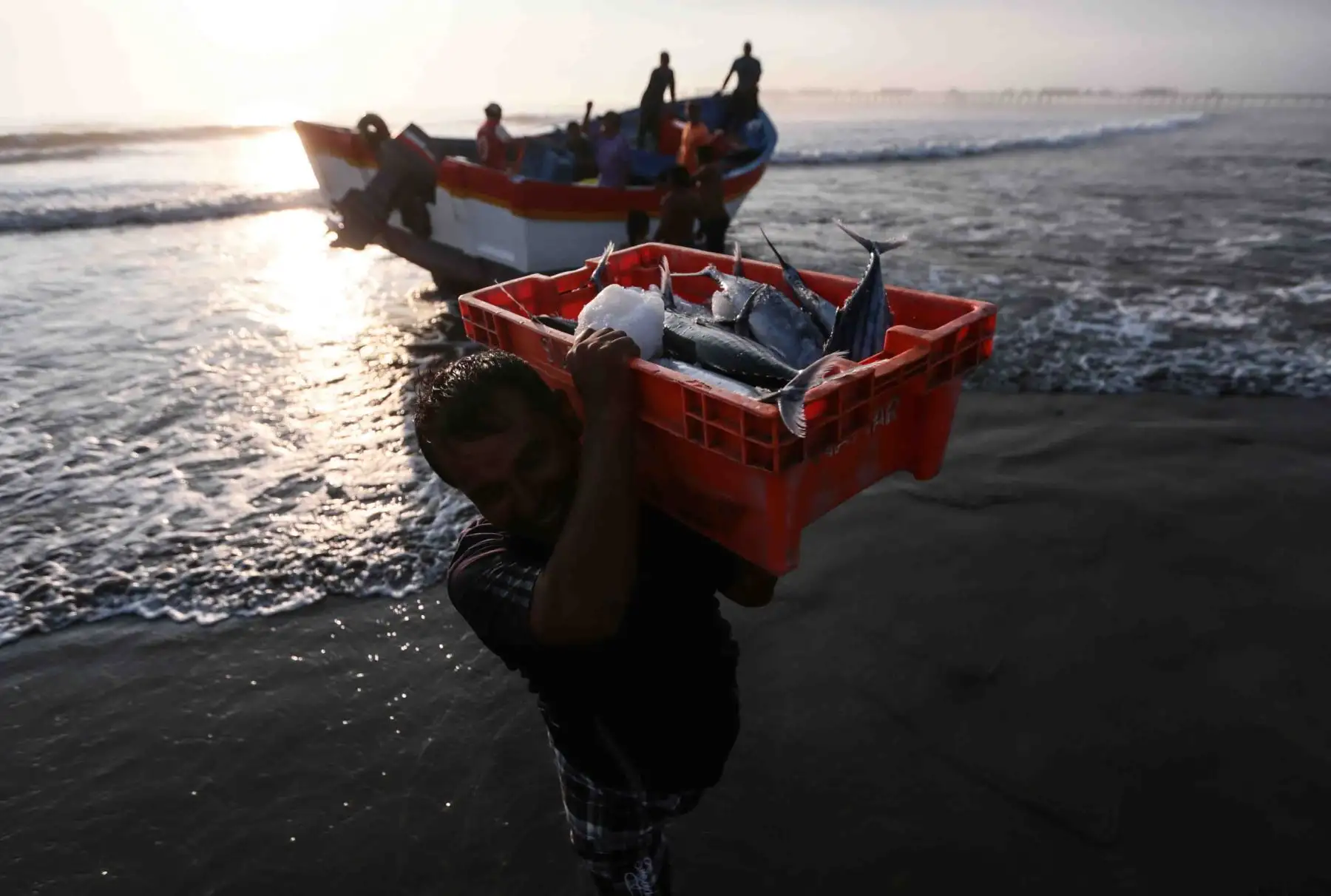 Pescadores artesanales. ANDINA/Carlos Lezama