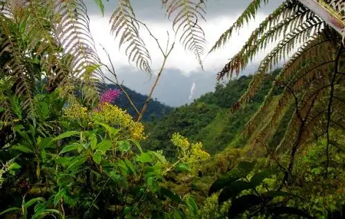 Promoverán atractivos turísticos del Bosque de Protección Alto Mayo, ubicado en la región San Martín.