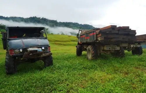 Articulan acciones para combatir el tráfico ilegal de madera en Cajamarca. ANDINA/Difusión