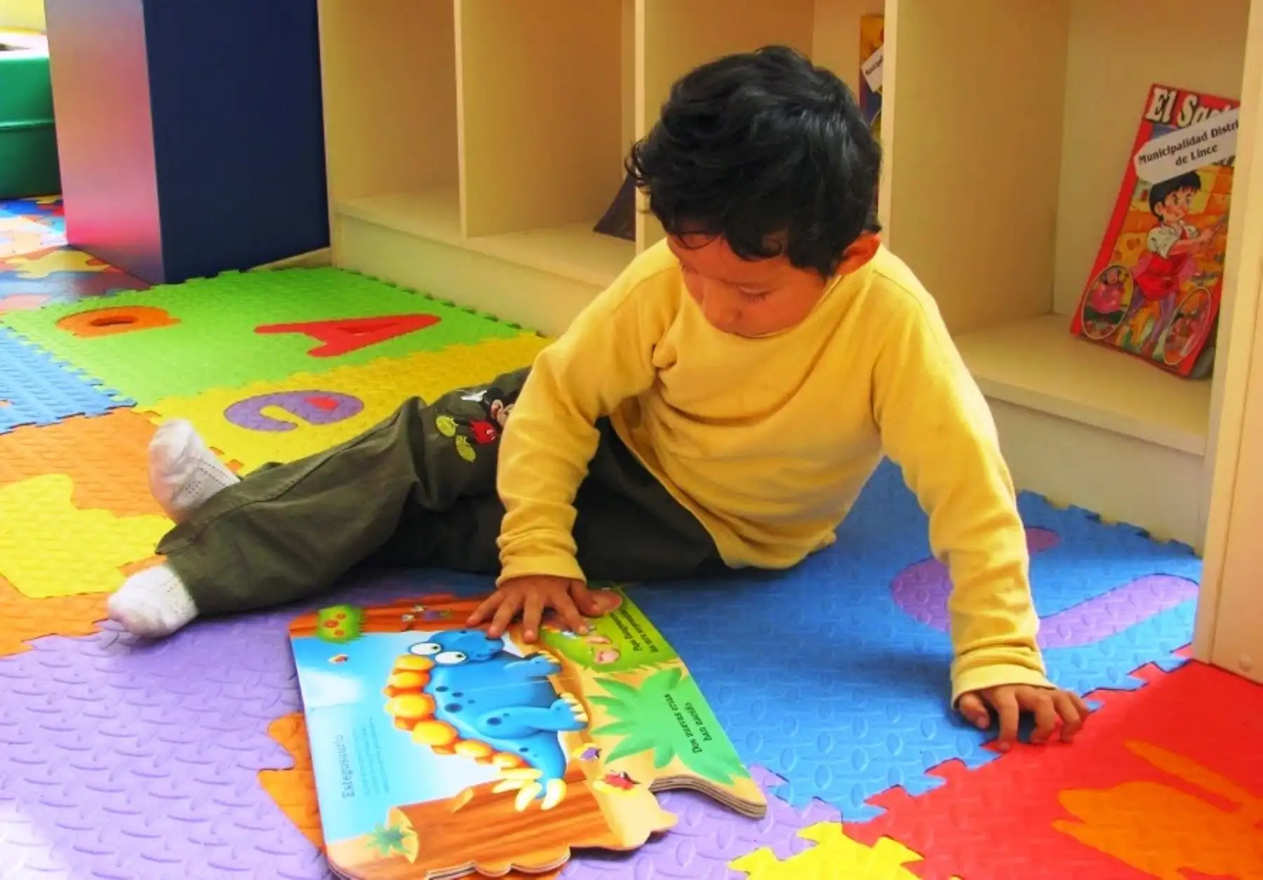 Además se realizarán actividades a través de medios audiovisuales, como talleres de manualidades navideñas, videos motivacionales y de recreación para que los niños, jóvenes y adultos mayores beneficiarios de las casas hogares puedan sentirse acompañados en esta Navidad. Foto: ANDINA/Difusión