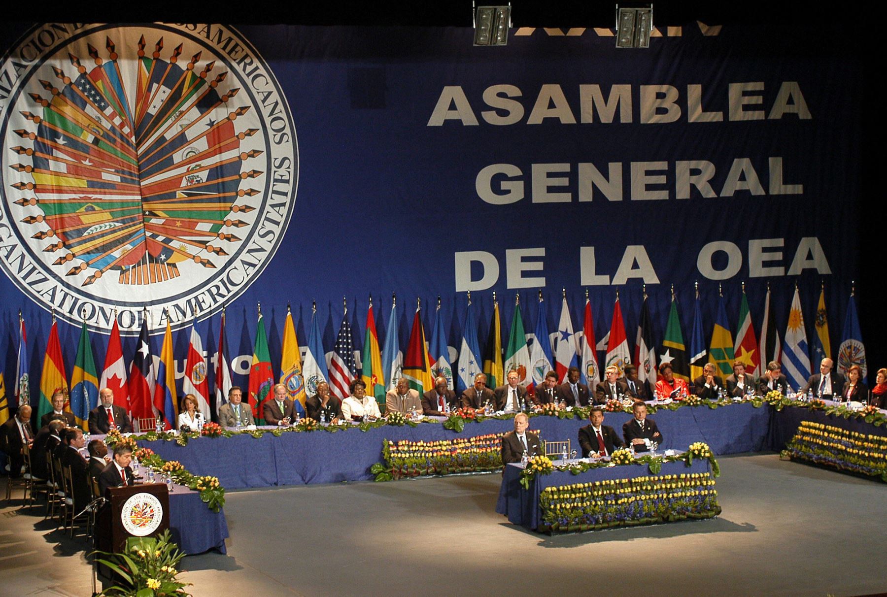 Piden reunión urgente de OEA para discutir situación en Venezuela