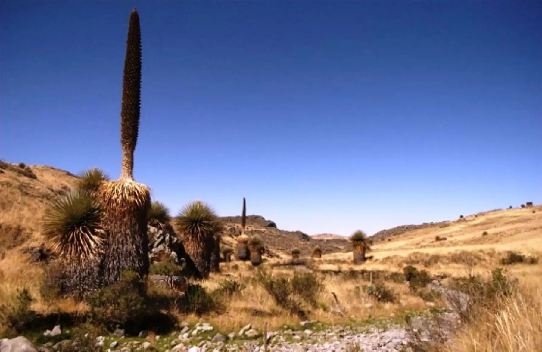 Promoverán el desarrollo turístico del Santuario y Reserva Nacional Calipuy, en La Libertad.