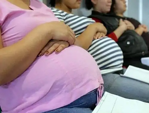Gestantes constituyen grupo de riesgo frente al zika. Foto: Difusión